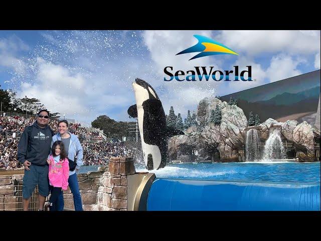 Things To Do At SeaWorld San Diego