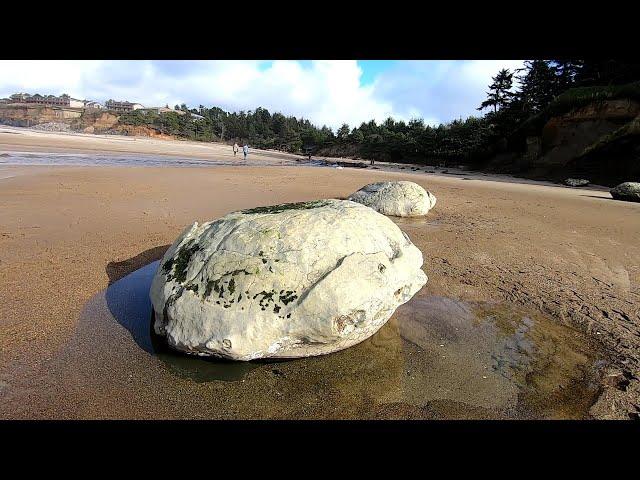 Concretions. Geological? Biological? Who is Who?