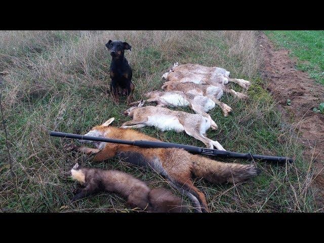 ШОК!!! Вот это ОТКРЫТИЕ ОХОТЫ НА ЗАЙЦА!!! crazy hunting 2018 - 2019