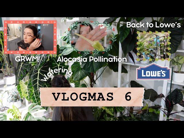 Vlogmas Day 6 |  Get Ready With Me, Back to Lowe's, Watering & Alocasia Pollination 