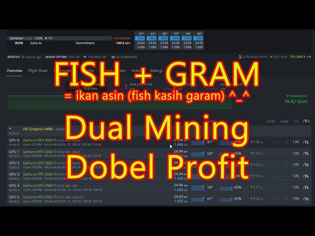 120. Dual Mining IRON FISH dan GRAM, Dobel Profit $$$