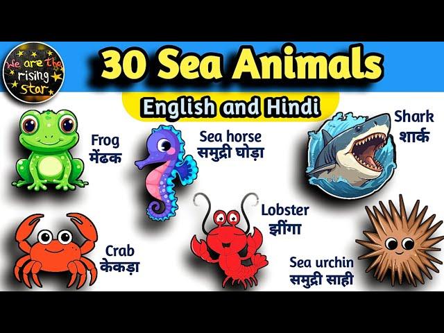 Sea Animals | Water animals names - Hindi and English | WATRstar #wateranimals #seaanimals