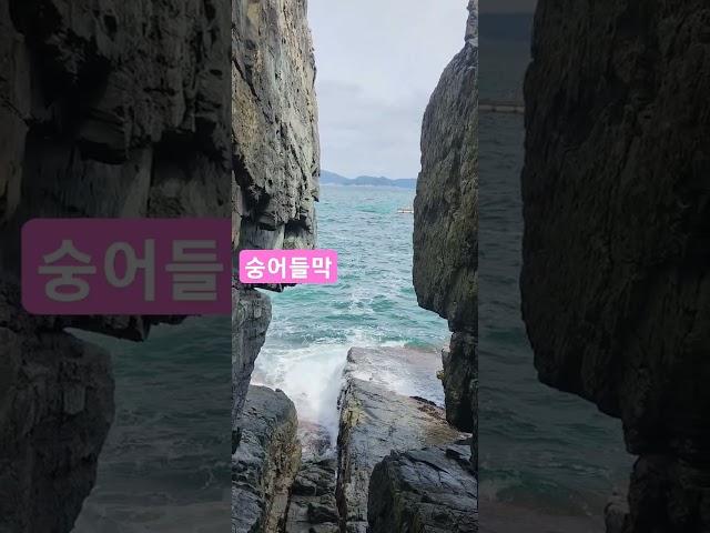 #숭어들막.숭어가 들어오는지 기다렸다가 일제히 그물을 올리는 숭어들막 구경갔다가 바위를 기어오르며 절벽사이 바다 잠시 찍어봄.