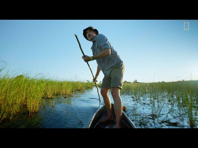 Steve Boyes traces life to its source in the Angolan Highlands