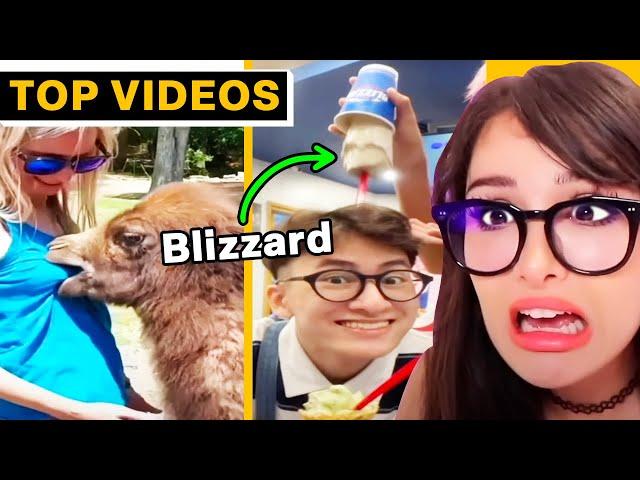 Best TIKTOKS That ENDED IN DISASTER | SSSniperWolf