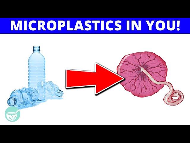 MICROPLASTICS detected in all human PLACENTAS!