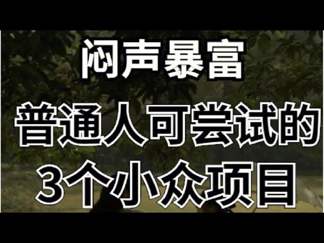 偏门灰产暴利网赚项目，后疫情时代逆袭赚钱最快的方法！#网赚 #赚钱 #揭秘#躺平 #被动收入 #挣钱 #灰色项目 #灰产 #蓝海项目#疫情 #2023 #逆袭 #创业 #创业项目 #网赚项目