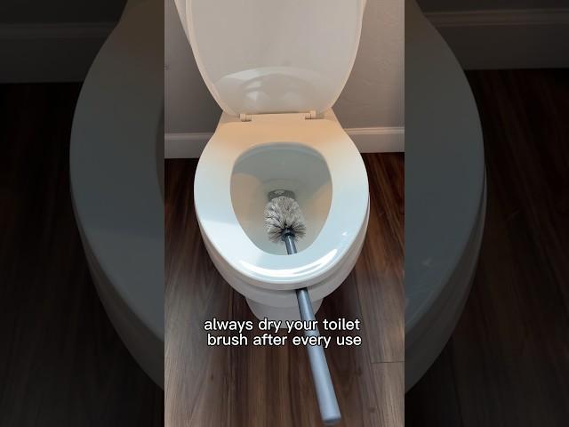 5 Tips for cleaning your toilet | Day 11/30 of my Spring Cleaning Spree #springcleaning #diy