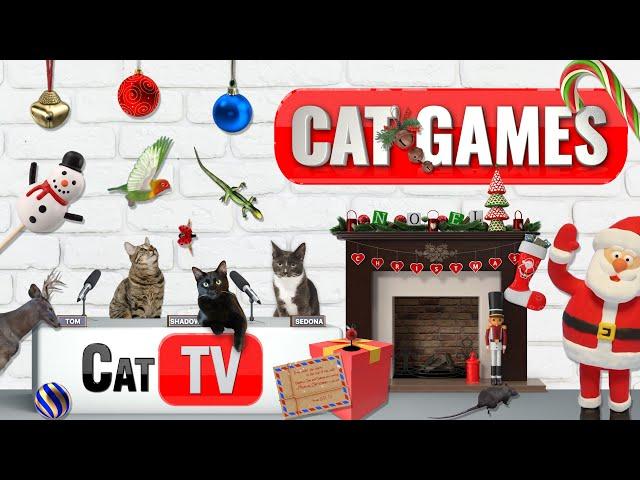  Christmas Cat Wonderland: 4-Hours of Cat Games | Ultimate Christmas Cat TV Compilation 