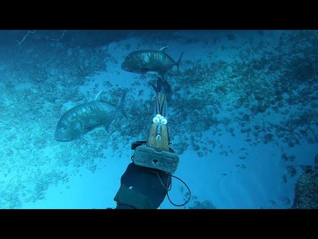 Hawaii Spearfishing | The Dream