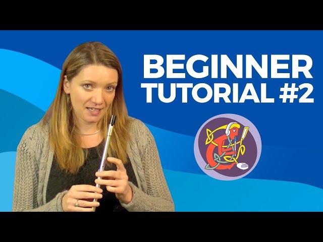 Irish Tin Whistle Lesson #2 - [The Basics] Rattlin' Bog 
