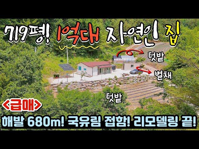 [380] 헐~ 이 가격이라구요? 손해 많이 보고 팝니다! / 별채까지 있는 올리모델링 주택 / 강원특별자치도 정선군 어량면 전원주택 매매 #정선부동산 #제천부동산