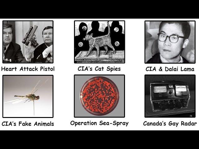 Every Insane Conspiracy Theory That Turned Out to Be True