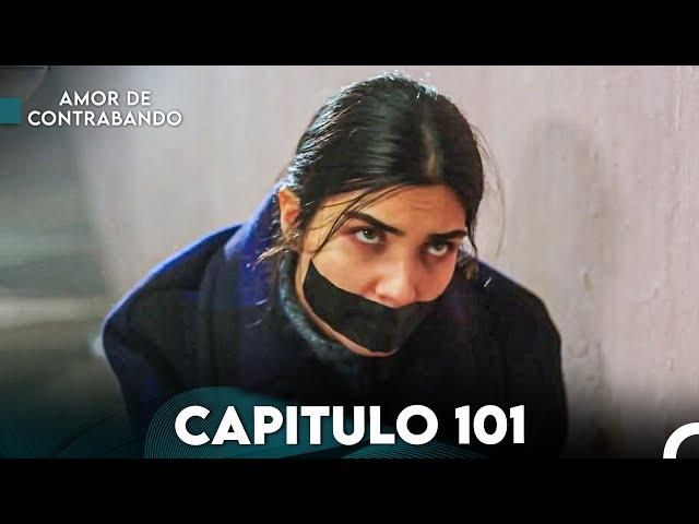 Amor De Contrabando Capitulo 101 (Doblada En Español)