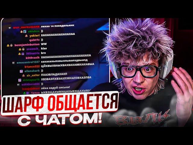 ШАРФ ОБЩАЕТСЯ С ЧАТОМ!
