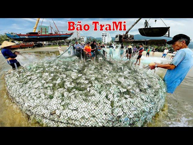 Ngư Dân Ven Biển Mất Ăn Mất Ngủ Vì Cơn Bão Này || Cả làng Tranh Thủ kiếm Cá Trước Ngày Bão Vào