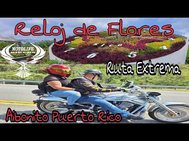 Ruta RELOJ DE FLORES AIBONITO | Puerto Rico | Motolife Bikers @Vueltaalmundoenmoto