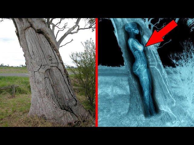 Top 5 Mysteries That Baffle the World | Unexplained Phenomena