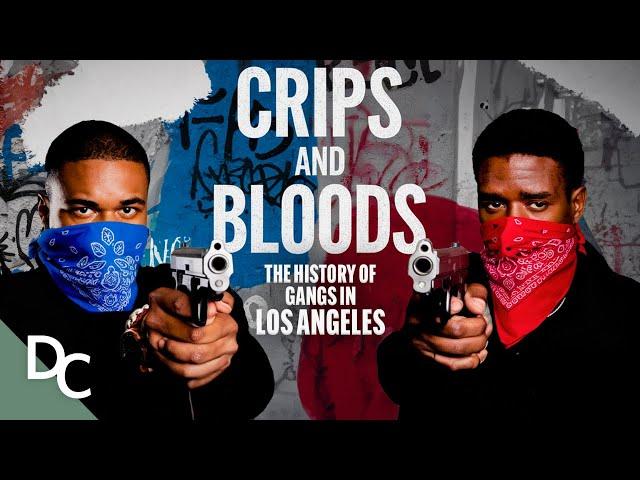 The Ongoing War Of Crips & Bloods | Crips & Bloods Made In America | Documentary Central