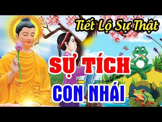 Chuyện Nhân Quả Luân Hồi Hay Nhất, Sự Tích Con NHÁI | Chuyện Nhân Quả Có Thật, Nghe Mà Sợ Khiếp Vía