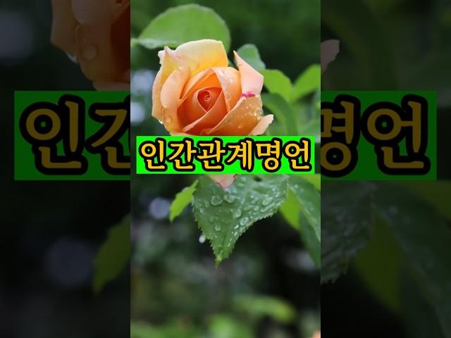 인간관계명언
