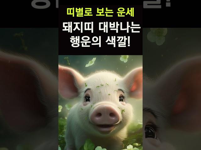 띠별운세! 돼지띠는 이렇 옷을 자주 입어야 대박이 납니다! 돼지띠를 대박나게하는 행운의 색깔! #행운,