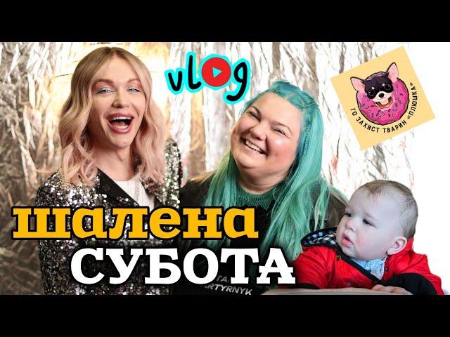 BIG VLOG: 5-річчя притулку, КВАРТИРНИК 5:0 та живе спілкування 