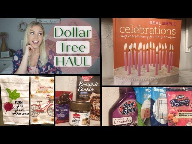 HUGE Dollar Tree Haul| AWESOME New Finds| Megan Navarro
