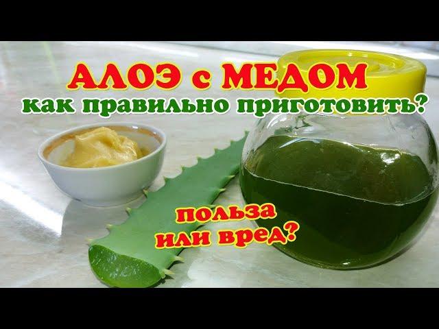 Лечение Алоэ с Медом. Как правильно приготовить и как принимать.