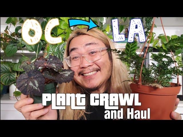 Shopping for Houseplants | OC to LA Plant Crawl and Haul