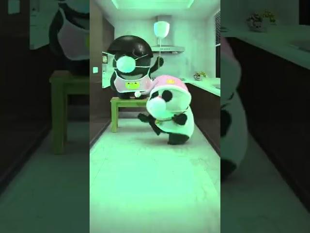 【Bamboo Panda熊猫班卜】Panda Bamboo and Dundun just wanna stay at home  #panda #chinese #cute