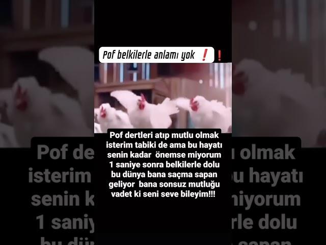 @yurektenturkuler1936 @ChuChuTV @KidsDianaShow @YouTube @DJİzzetYılmaz @MatheusYurley