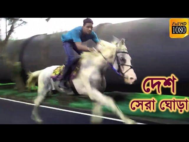 ঝড়ের গতিতে ঘোড়া দৌড়। Best Horse Riding 2021. দেশ সেরা ঘোড়ার অসাধারণ দৌড়। World Best Horse Riding BD