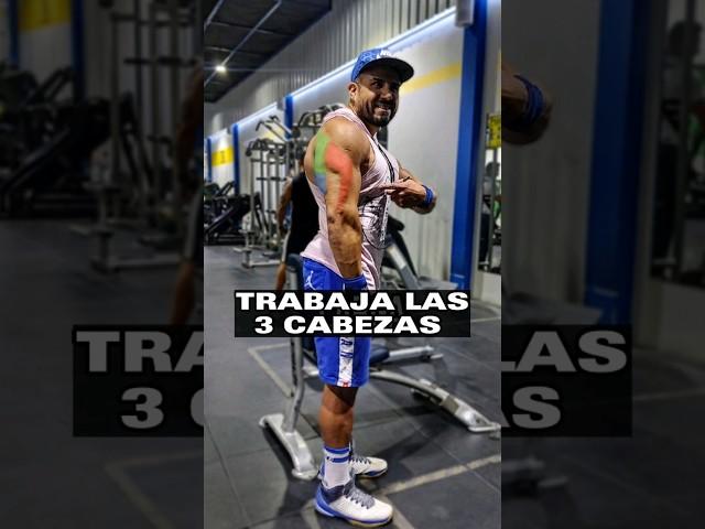 TRABAJA LAS 3 CABEZAS DEL TRÍCEPS. #tips #entrenamiento #gym #tricepsworkout