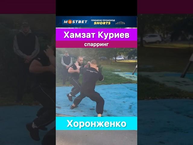 Хамзат Куриев и Александр Хоронженко устроили дружеский спарринг.