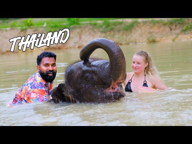 One Day With Elephant | ആനയും ഞാനും പിന്നെ | M4 Tech |