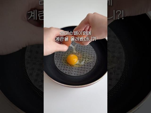 라이스페이퍼에 계란을 올려봤더니?!
