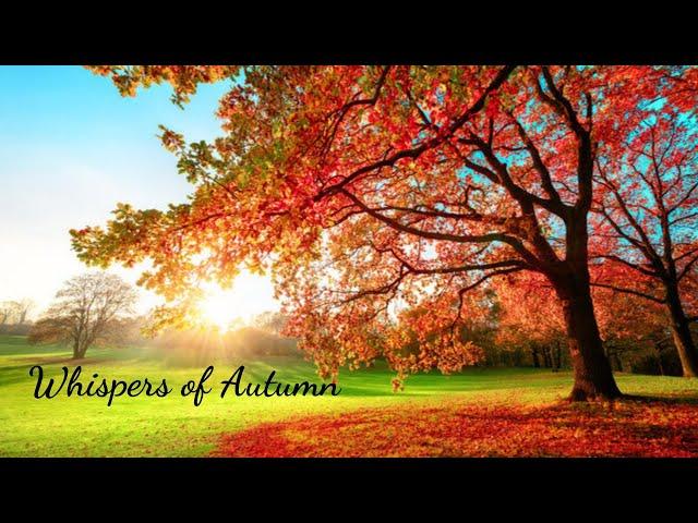 Beautiful Relaxing Guitar and Piano Music "Whispers of Autumn" in 4K