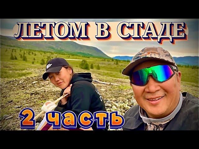 Летом в стаде. 2 часть.