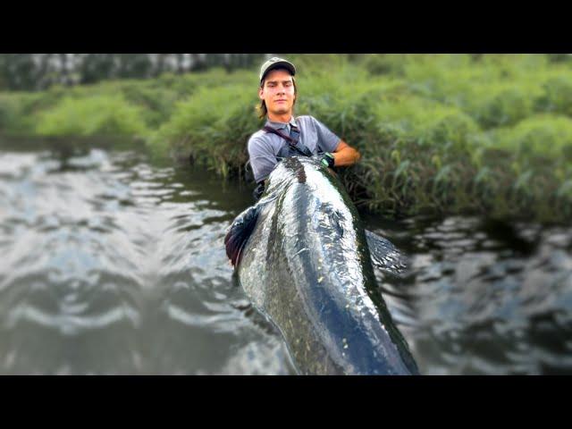 HUGE FISH FROM THE RIVER 