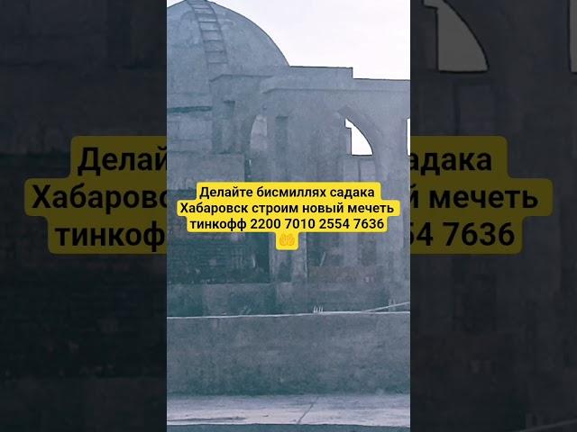 Аллах #образование #хадис #дуа #религия #напоминание #топ