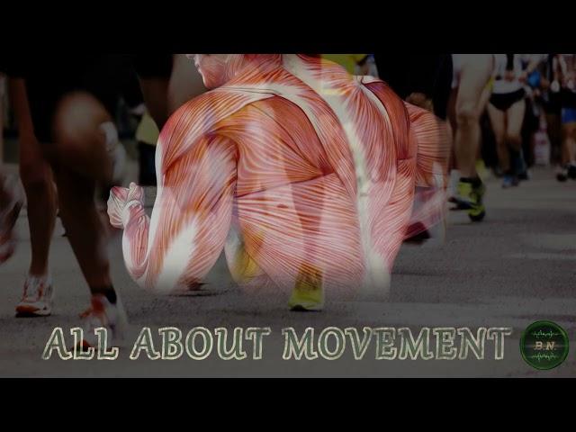 ALL ABOUT MOVEMENT - Bones, Joints, Tendons, Ligaments, Cartilage, Muscles