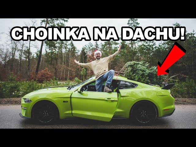 REAKCJE LUDZI NA MUSTANGA Z CHOINKĄ NA DACHU! *święta vlog*