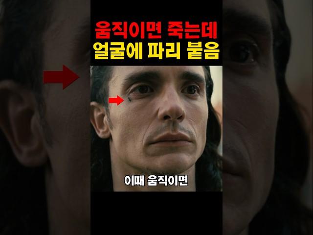 움직이면 죽는데 얼굴에 파리 붙음