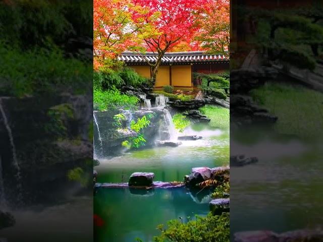 Beautiful scenery  #scenery #nature #relaxationvideo