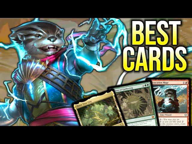 Top 10 Must-Have Cards From Bloomburrow