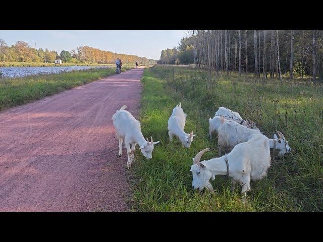 Велозаезд по велодорожке Яхрома-Дубна. ВАЖНЫЙ АНОНС!