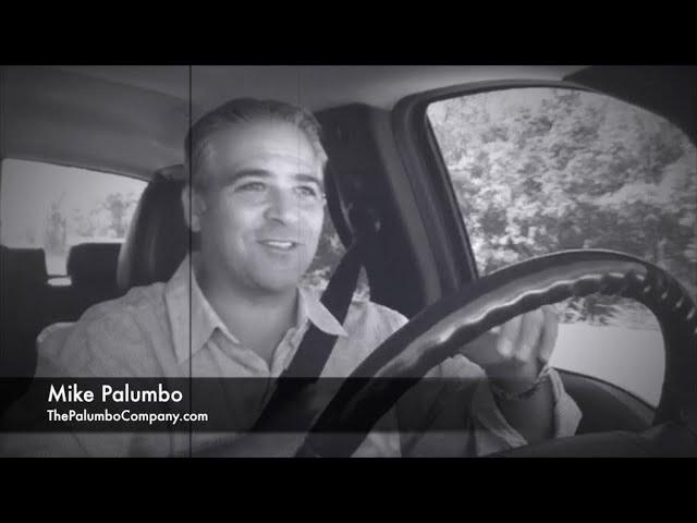 The Palumbo Company