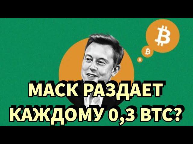 Раздача BTC от Илона Маска.. в ТикТоке? «Старый-Новый» скам с бесплатными Биткоинами