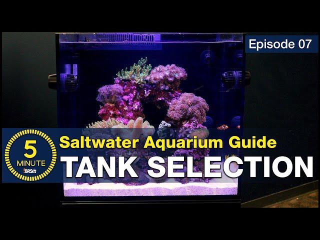 See why we chose a 40 gallon breeder and 45 gallon Red Sea E-170 AIO saltwater aquarium setup